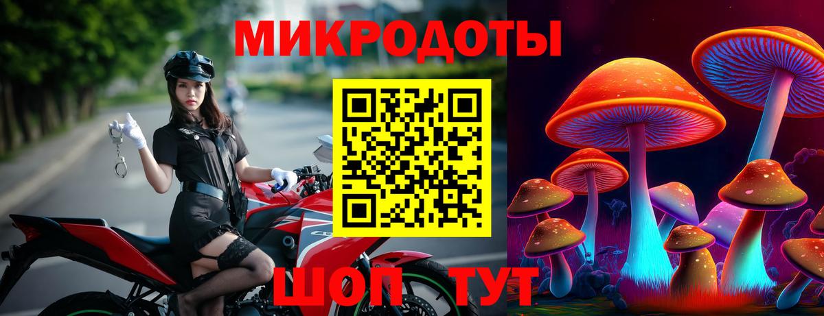 Галлюциногенные грибы мухоморы Чита
